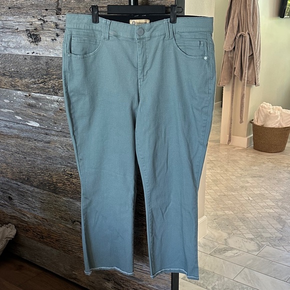 DEMOCRACY 'Ab'Solution Frayed Itty Bitty Flare Jeans - Picture 2 of 13